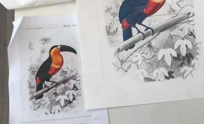 Cours de dessin, Lyon 6, Atelier 61